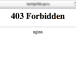 nginx 403 for static file